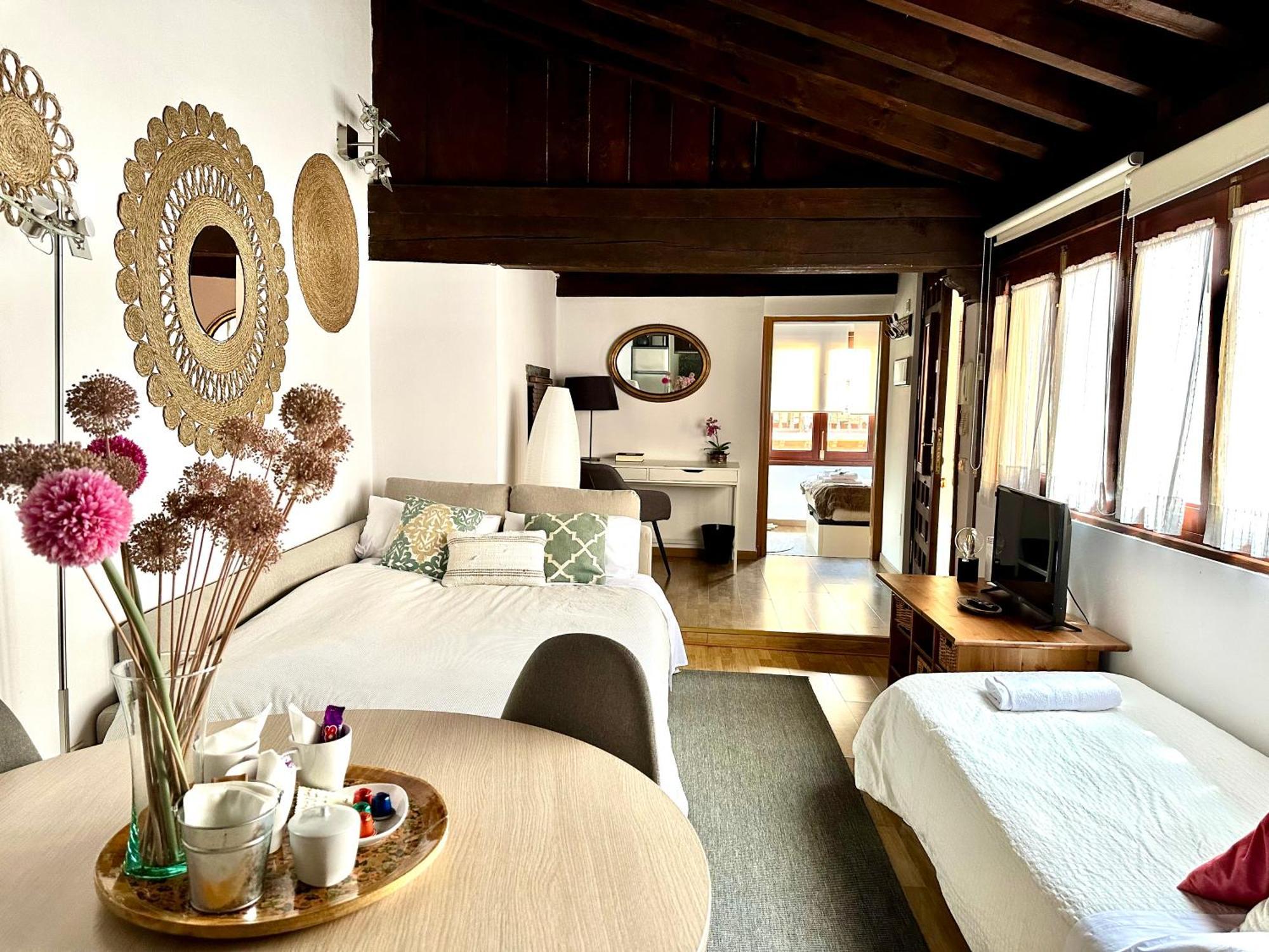 Apartament Apart. Palacio Canonigo 7 - Junto Catedral